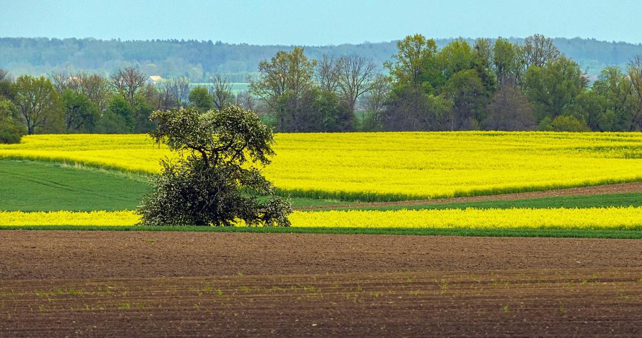 Cztery Luksusowe Domy Na Mazurach, Jezioro Juksty - Sakurarest Sniadowo  Bagian luar foto