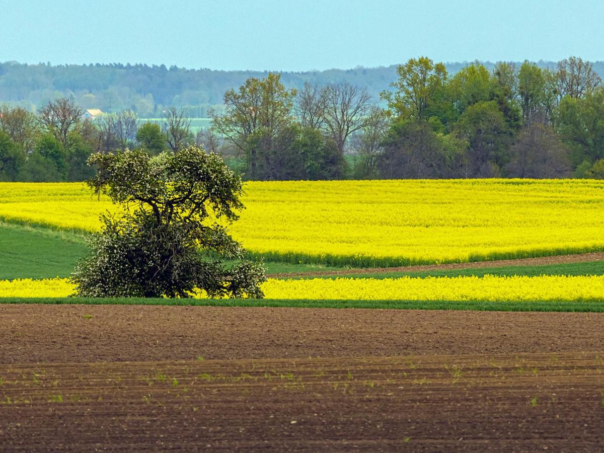 Cztery Luksusowe Domy Na Mazurach, Jezioro Juksty - Sakurarest Sniadowo  Bagian luar foto